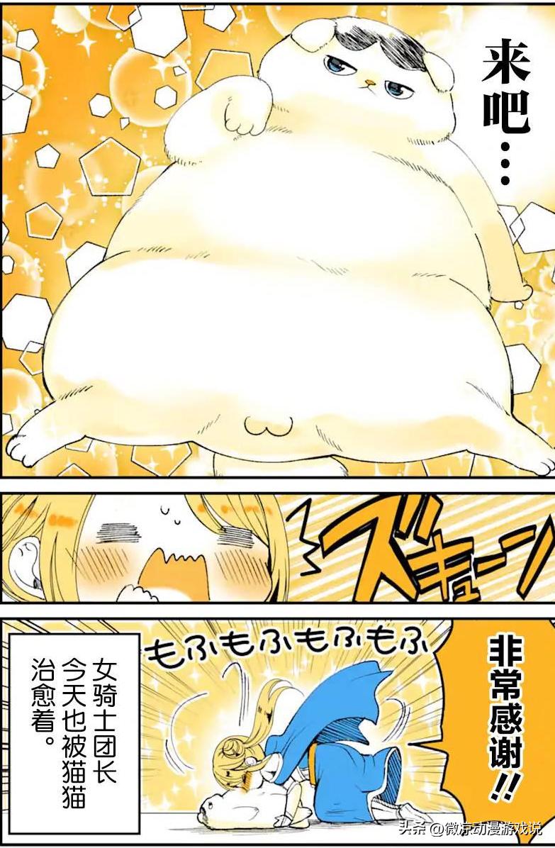 猫猫怎么可以这么乖,猫猫怎样玩耍才会开心