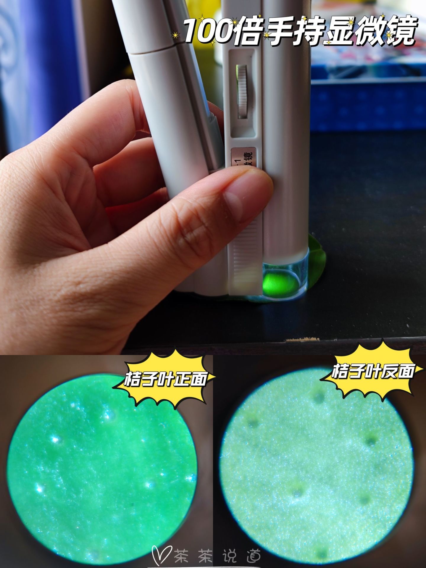 作为家长应该怎样培养孩子的学习,如何培养孩子的兴趣家长心得体会