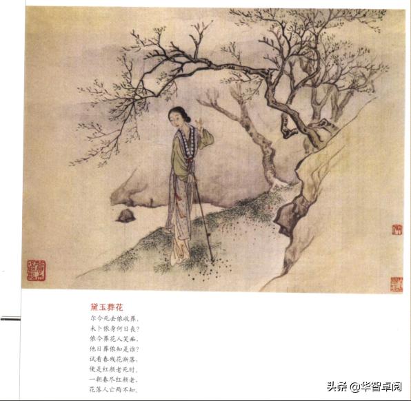 文学鉴赏红楼梦800字大学,红楼梦文学欣赏