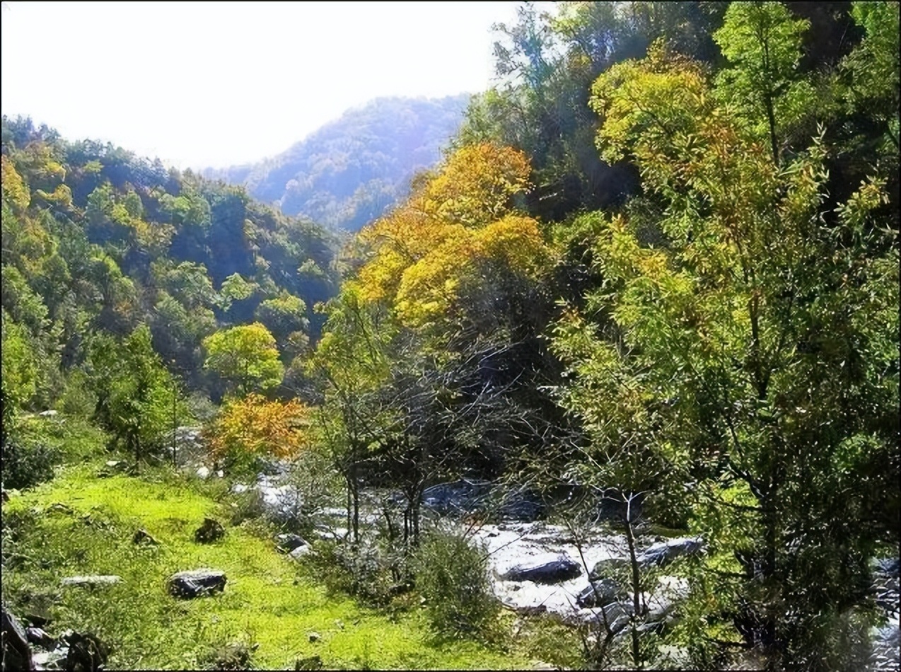 浼氫笢鍐ぉ,浼氫笢鍐姘旀俯