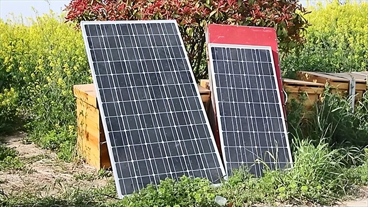 有电了！养蜂人因疫情滞留，供电公司专门拉了一根电线