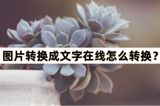 图片转换文字在线转换软件,免费的将图片转换成文字