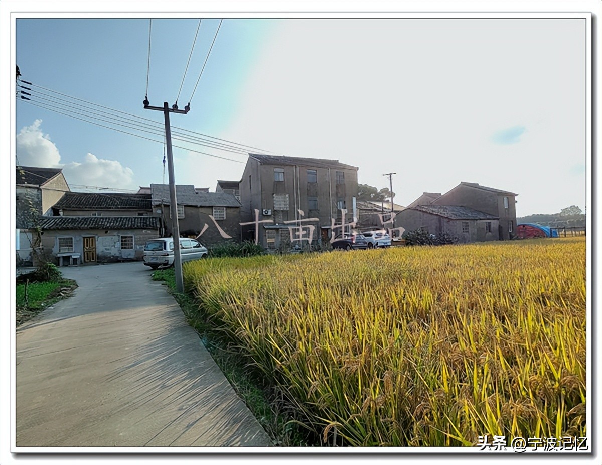 石碶街道各行政村,海曙区石碶村