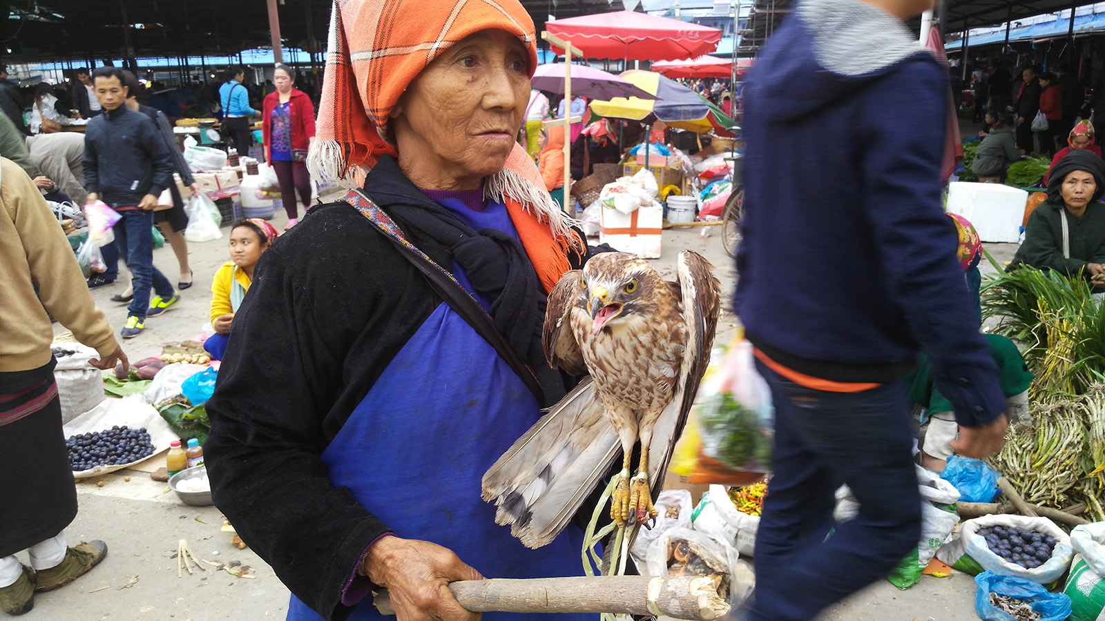 初哥视频,初哥延边烧烤