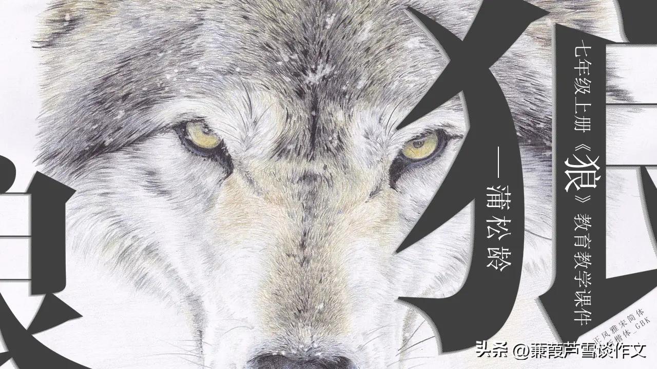 精品网课，佳作偶成（一）——阿宝老师的“作文经”（二七八）