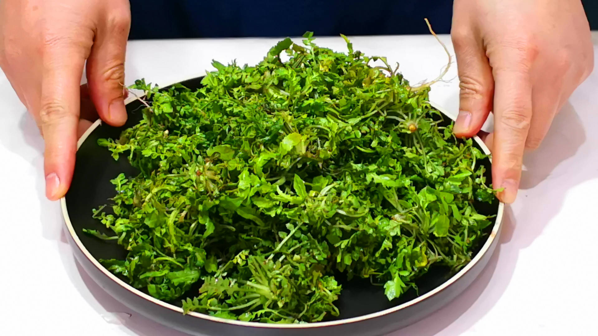 春分节气的民间习俗及禁忌,春节习俗讲解