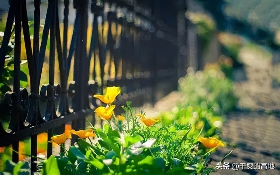 散文|王磊斌:外婆山