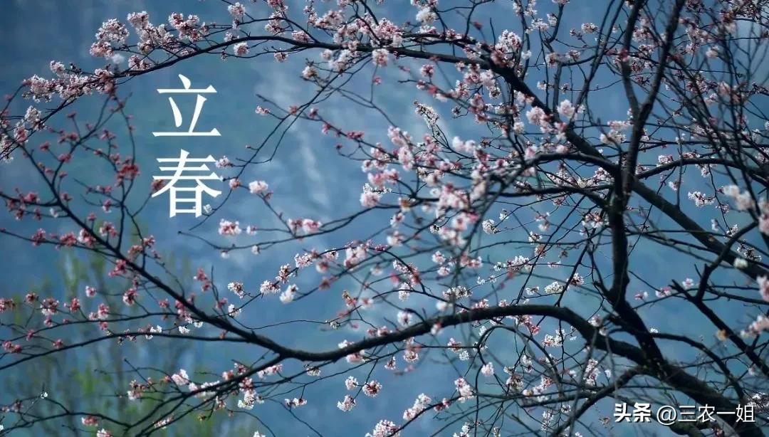 天气预报视频倒春寒,元宵节农谚谚语