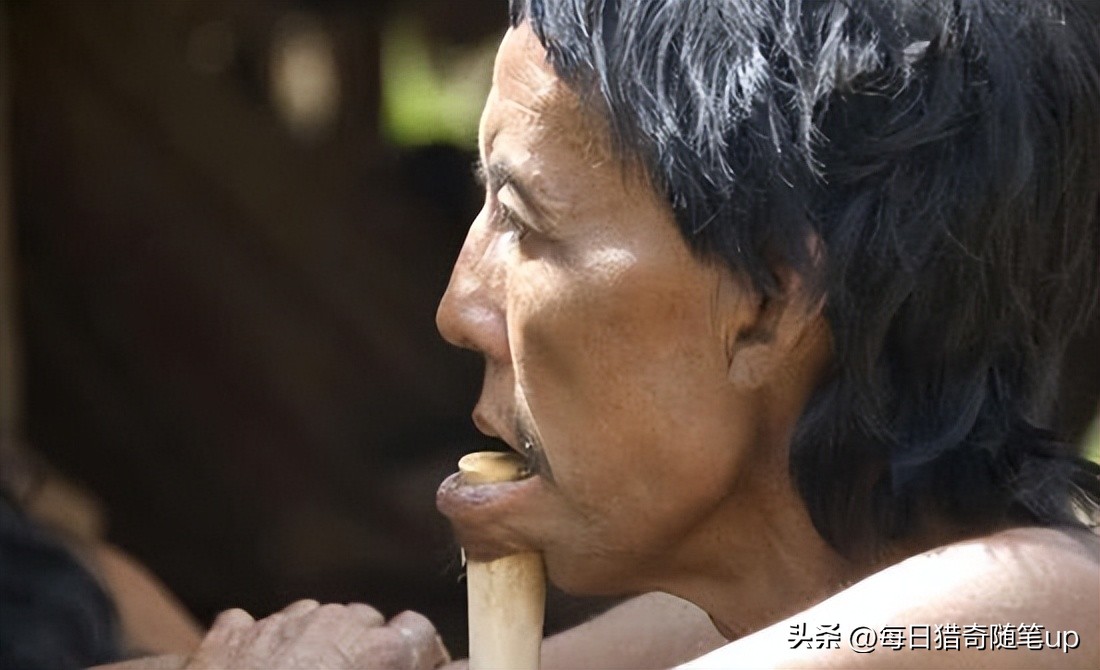 古埃及人为什么下巴要插木棍,亚马逊原始部落下巴穿木棍