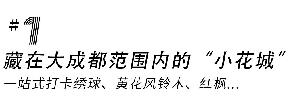 提前盛开！成都市区这个被偏爱的宝藏地又上新，即将刷爆全网
