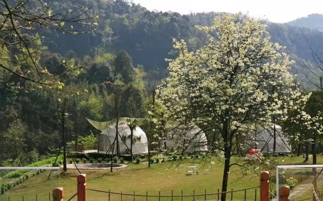 又见花开都江堰完整版,又见花开都江堰