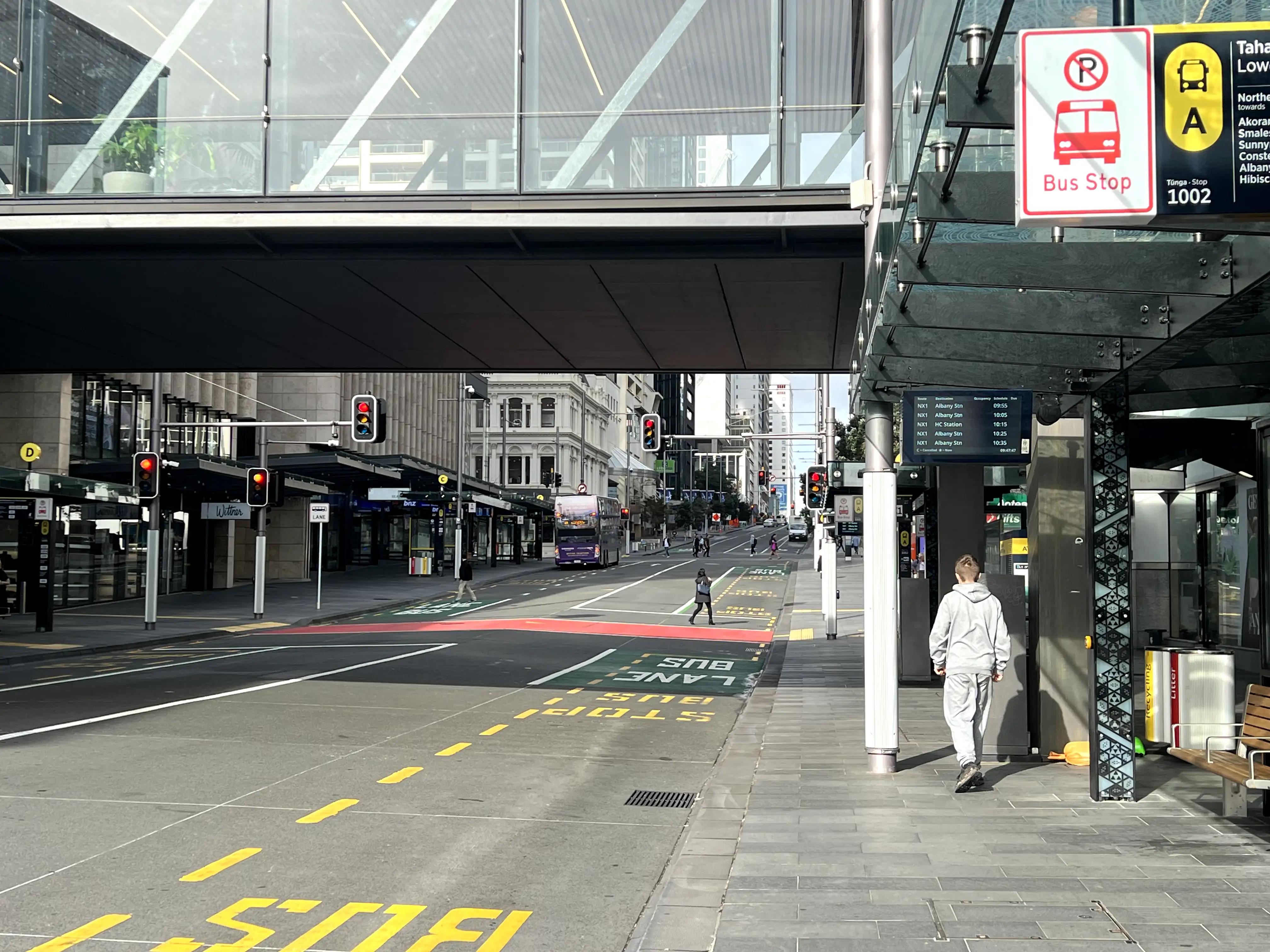 新西兰打工人的日常,新西兰打工的一天