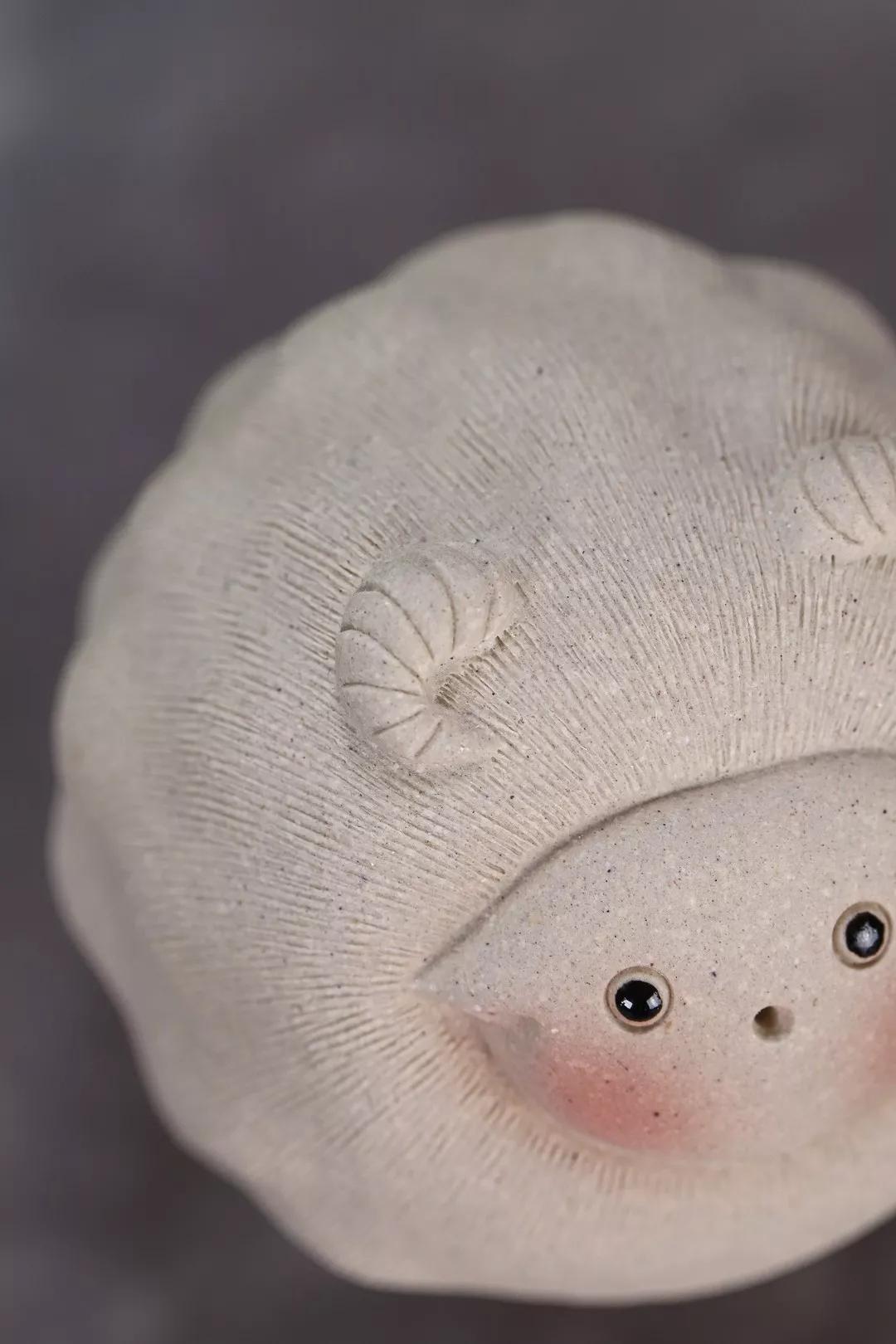 羊咩咩活体,羊咩咩款式