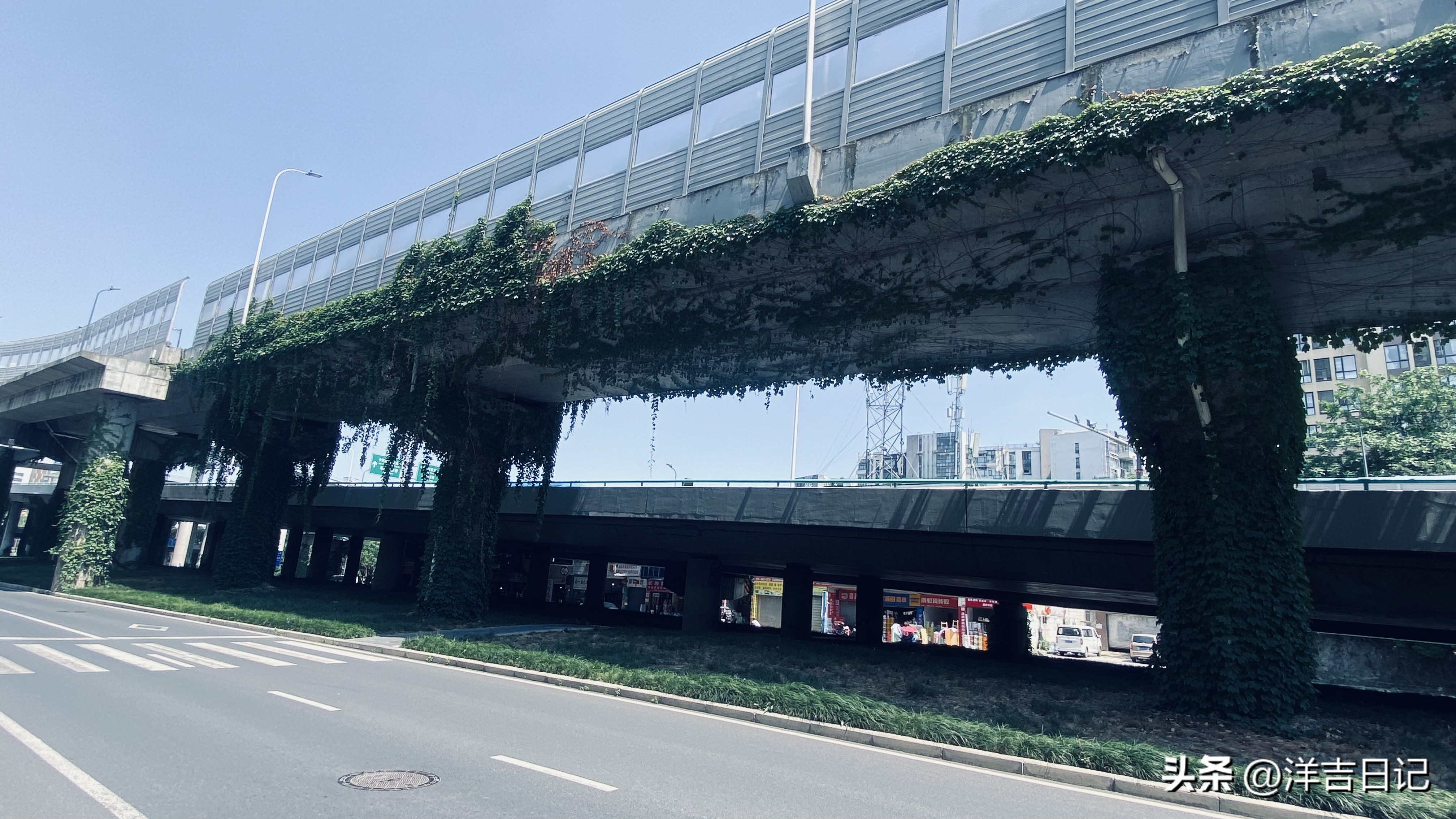 洋吉日记2023.5.12（寿司你喜欢吃吗？感觉好暴利）