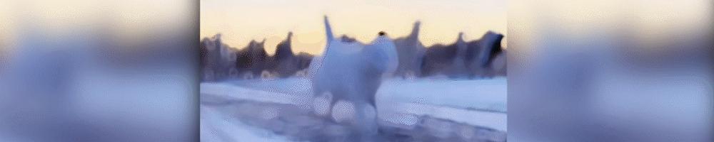 跟印度做生意必须付款再发货吗,先付款再发货结果发货了不付款