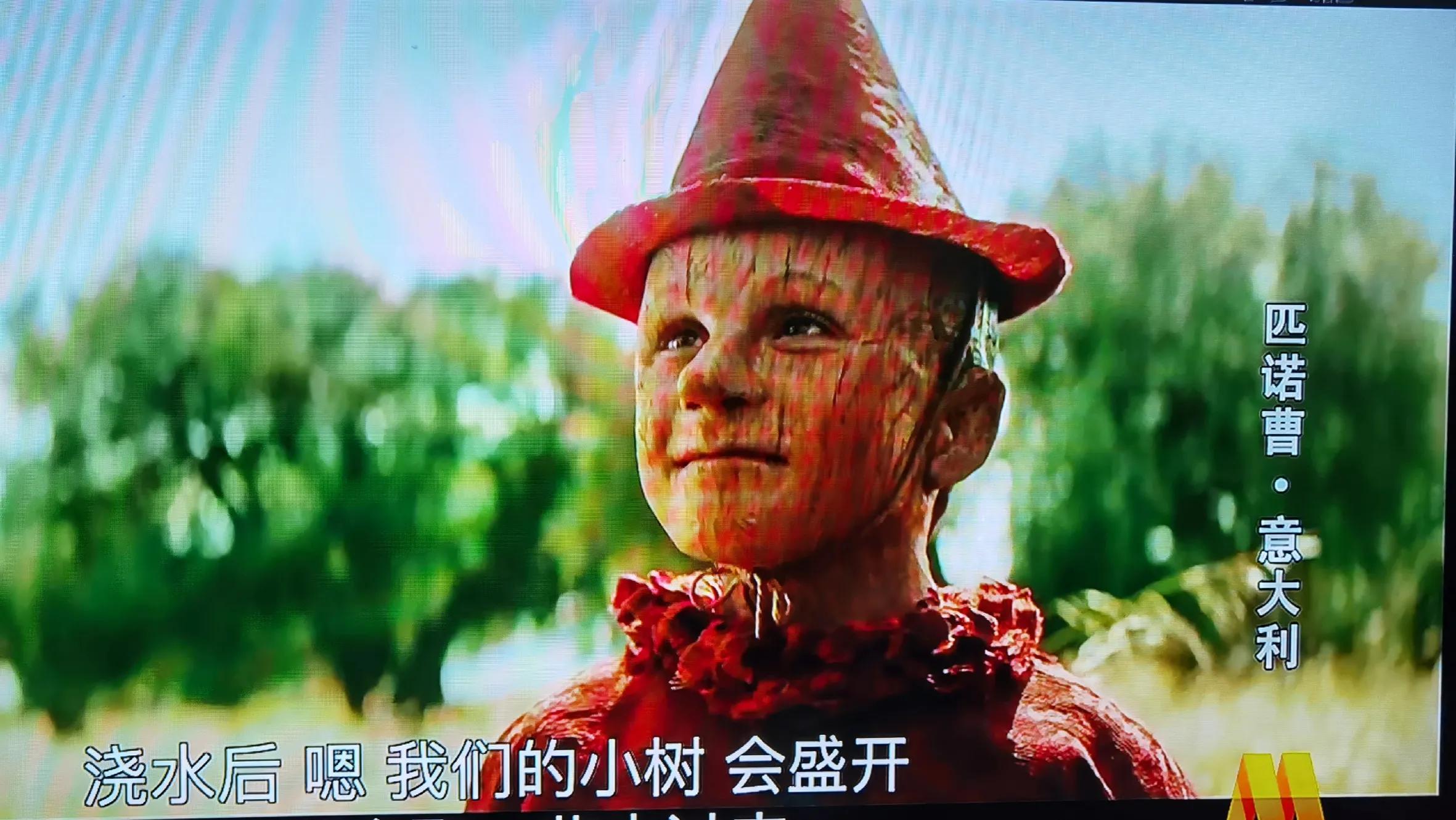 匹诺曹奇遇记书,匹诺曹奇遇记故事原文