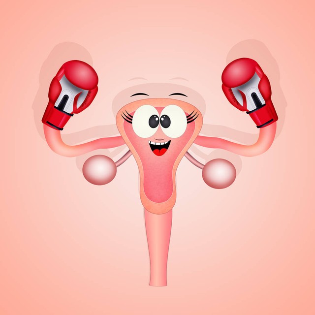 解析子宫前位和子宫后位的区别,子宫后位剖析