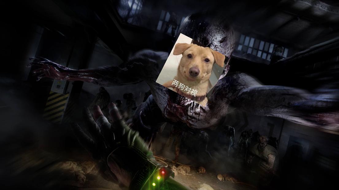 消逝的光芒玩家亲身体验各个项目,消逝的光芒仓库东西多了怎么卡bug