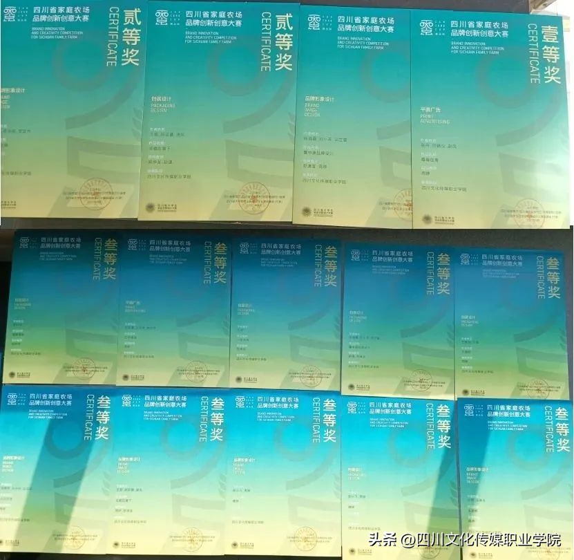 广告艺术设计专业单招面试专科,广告艺术设计可以报考的学校