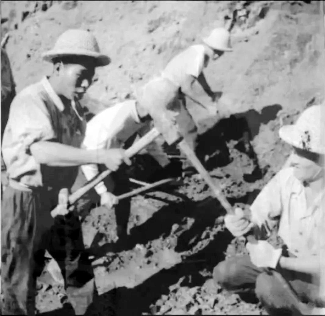 北大荒部队图片,北大荒武装部队