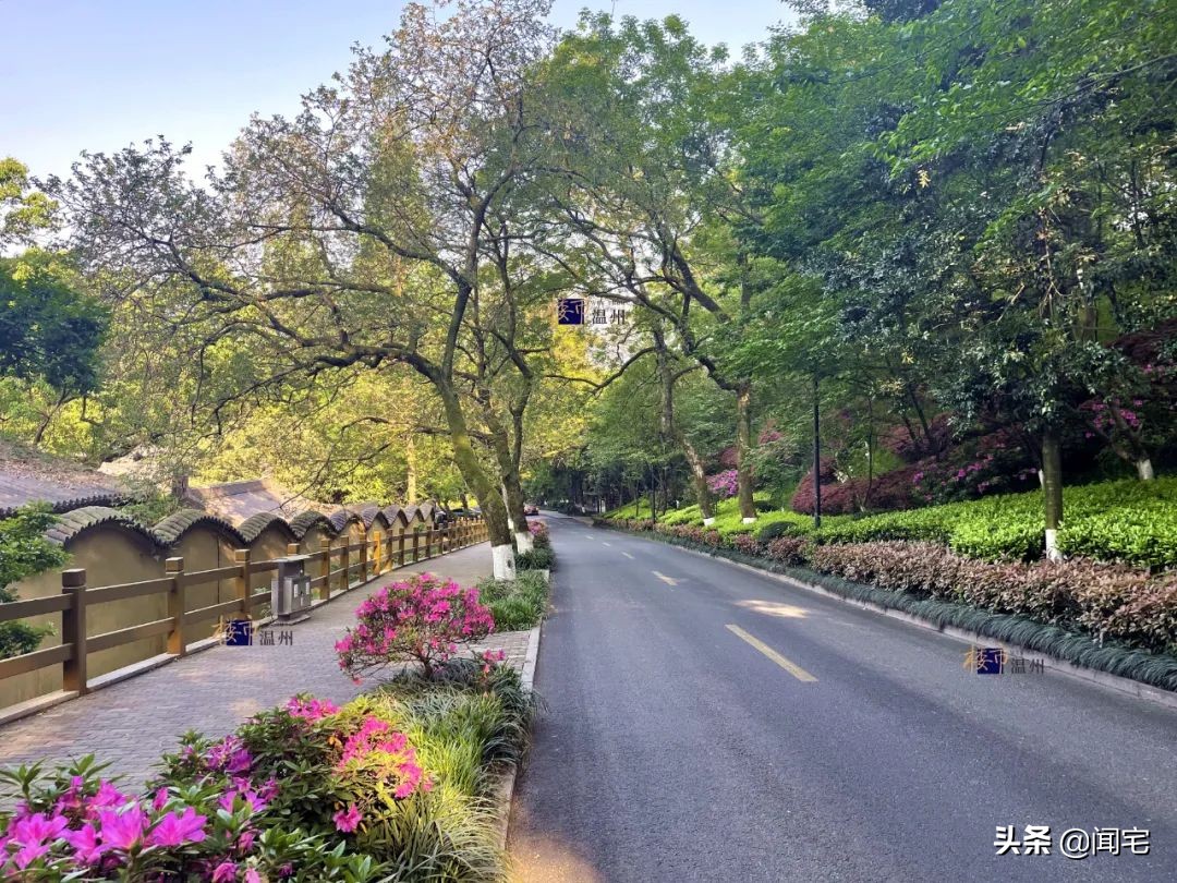 浙江温州环境怎么样,为啥温州的环境变好了