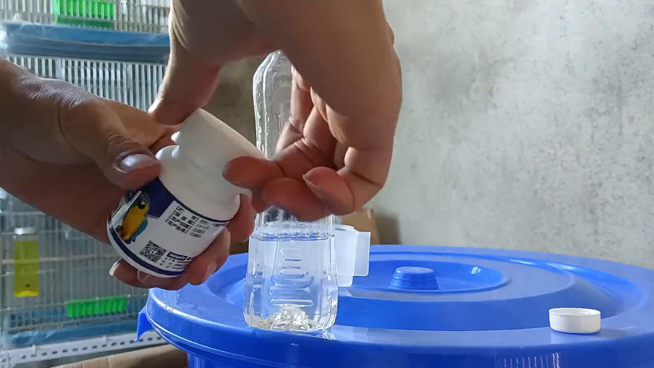 鹦鹉养殖纪录片,鹦鹉养殖日记100例