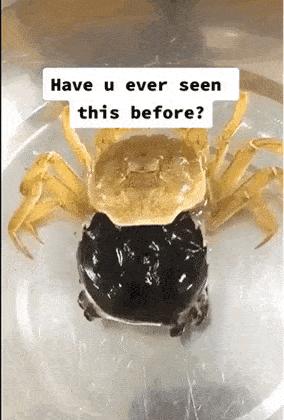 涔濅釜鍔ㄤ綔濮垮娍鎽嗘媿,涔濅釜鎵嬪娍鍔ㄤ綔