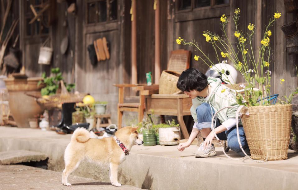 向往的生活第七季遭吐槽,向往的生活最新一期在哪里录的