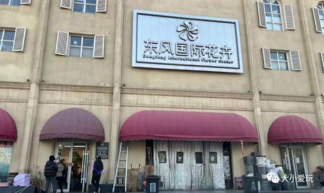 北京最美的花鸟市场,北京值得逛的花鸟市场