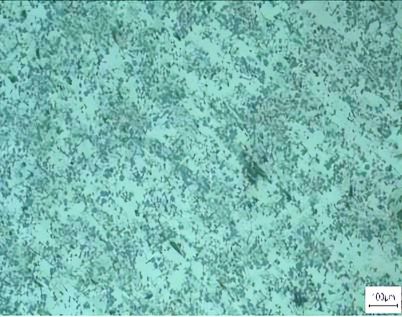 文昌新材徐骏教授：电磁搅拌吸铸技术及其在铝陶复合材料中的应用