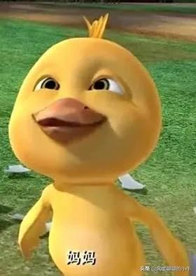 熊出没最厉害的角色,熊出没历代角色大全