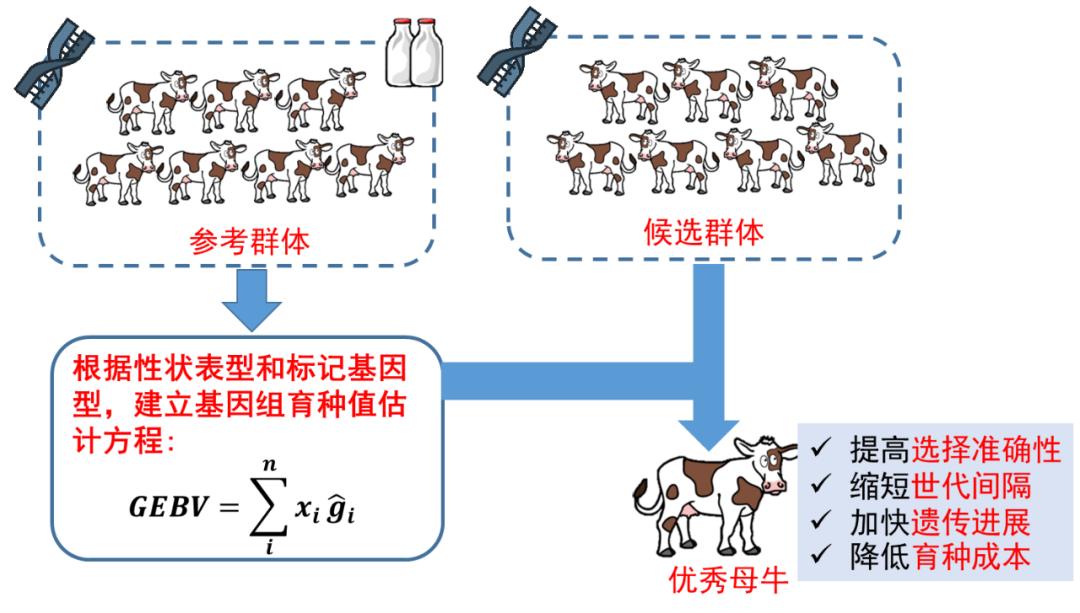 南京卫岗乳业新建项目,南京卫岗有哪些荣誉