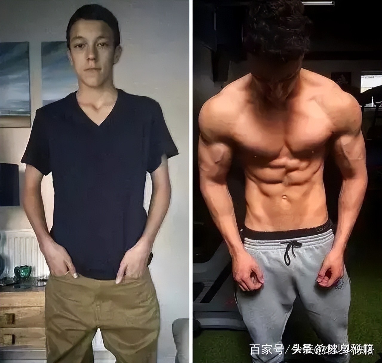 不运动可以吃蛋粉吗,不健身吃蛋白质粉会变胖吗