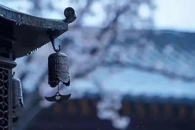 过期绿茶的处理方法,过期的绿茶还能有什么用