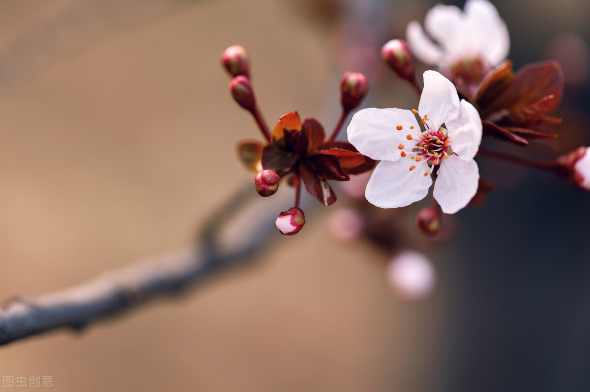 特别想念一个人要不要主动联系,想念一个人但不知道说什么好