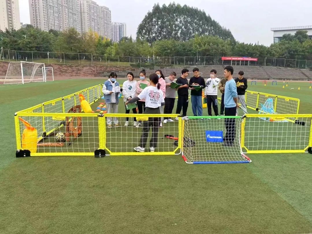 派迪茵体育直播,派迪茵全国足球