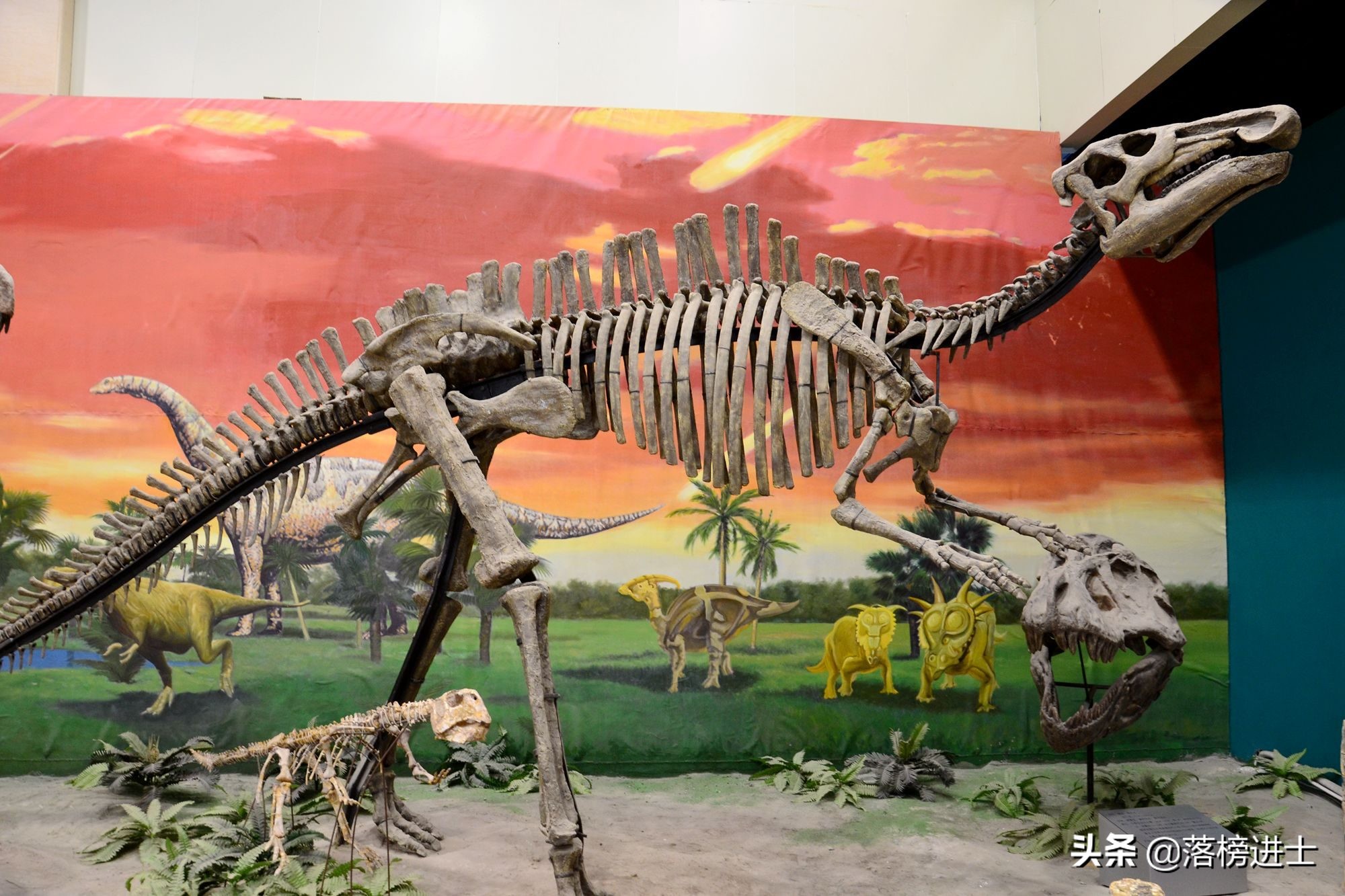 石家庄哪个博物馆里有恐龙化石,石家庄博物馆里有恐龙化石吗