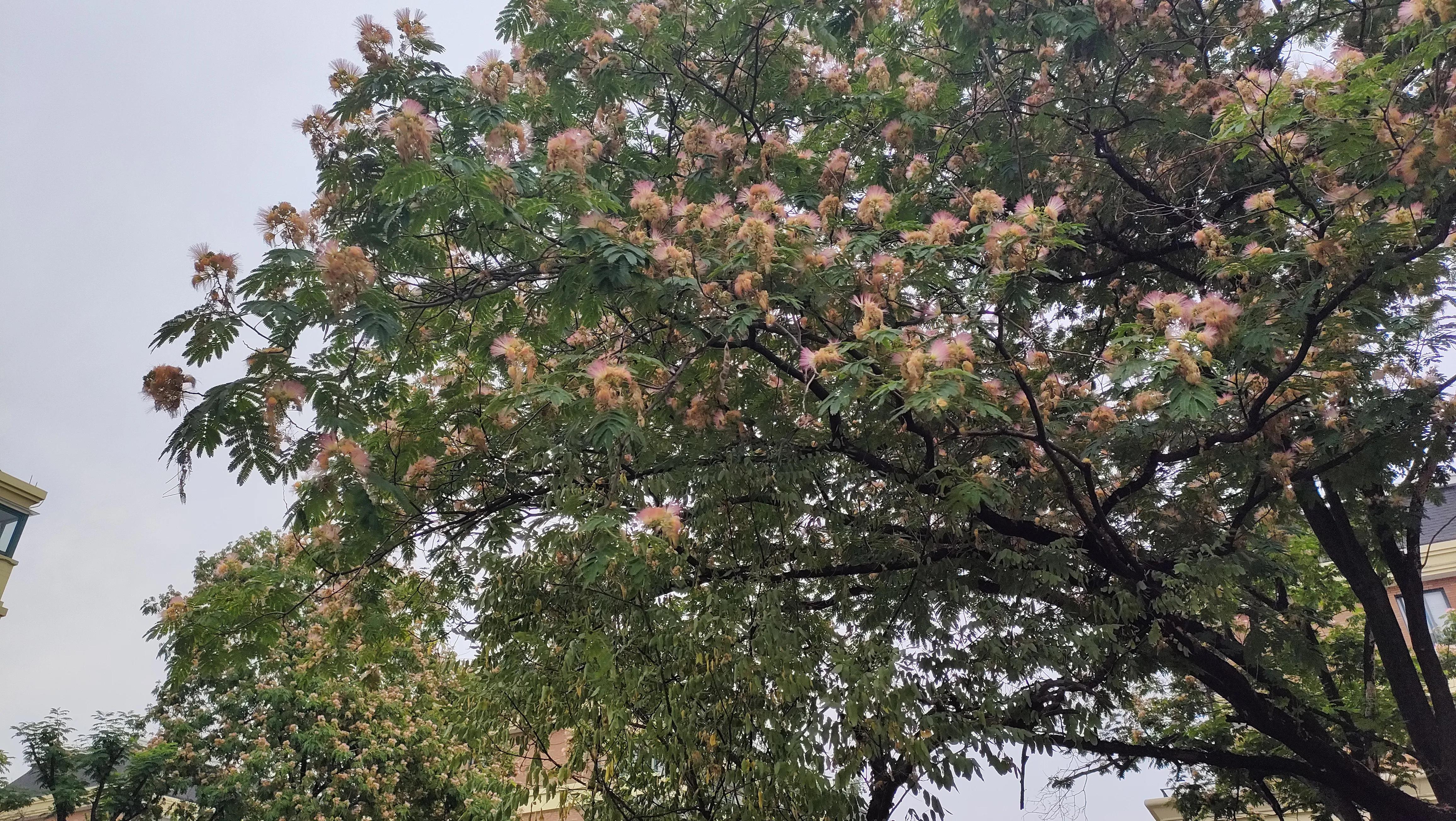 东莞到杭州自由行路线,从广州到杭州沿途风景