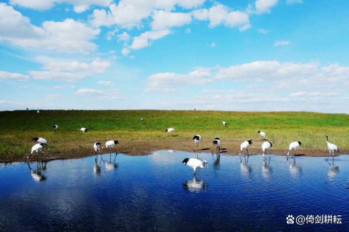 黑龙江省齐齐哈尔对比大庆市,齐齐哈尔跟大庆城建谁更好