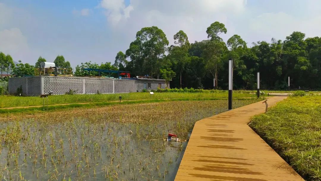 肇庆最美公园,大美广东肇庆风景区