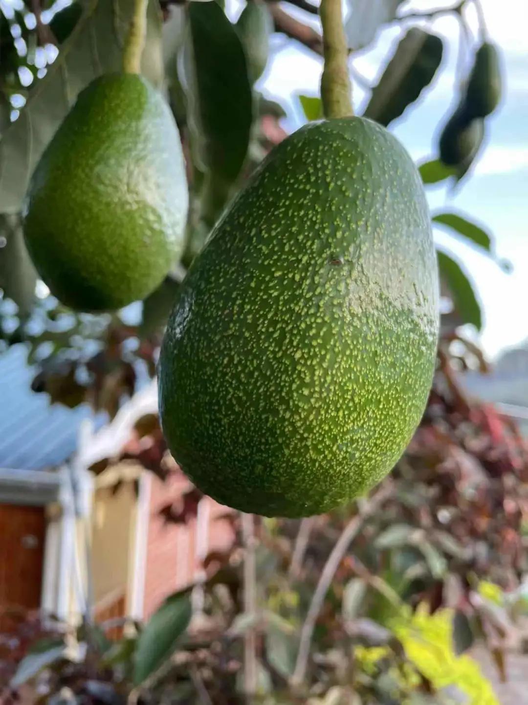 老汤创业,老汤生活记录