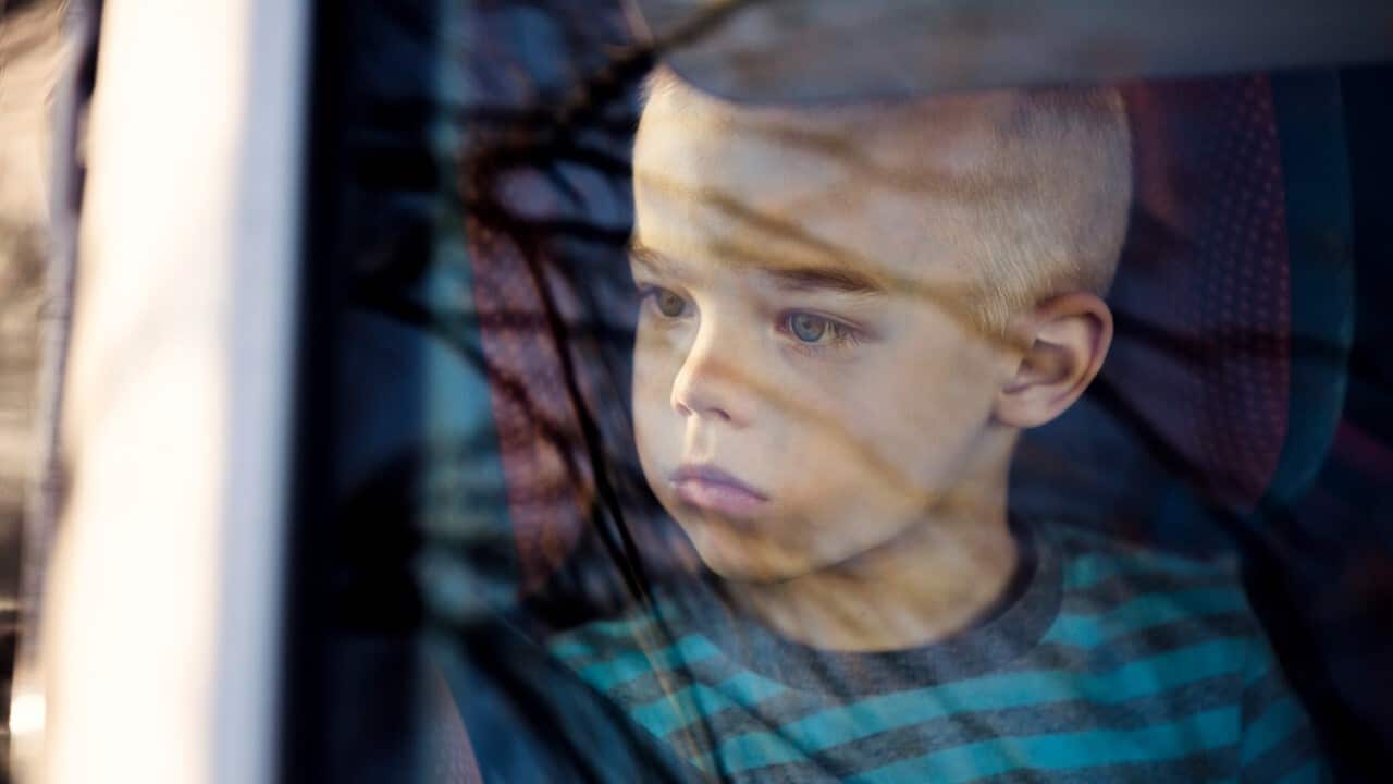 音乐的魅力英语,音乐的魅力英文