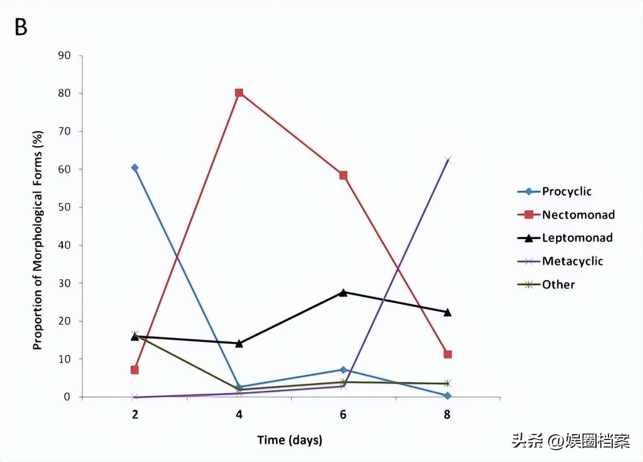 血粉有什么营养价值,血粉打窝的危害
