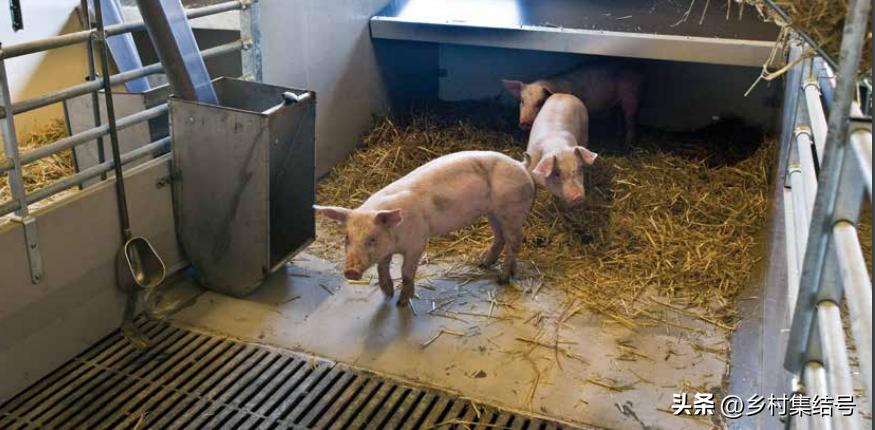 涓归害鐨囧閽荤煶鐨囧啝,涓归害鐨囧啝s绯诲垪