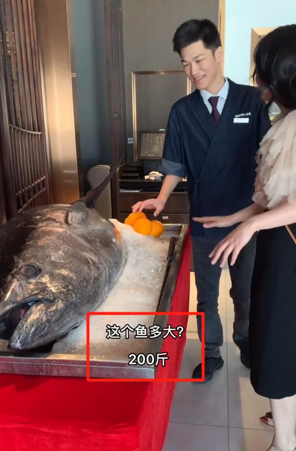 cici888与赌王三太啥关系,cici888是赌王三太的侄女吗