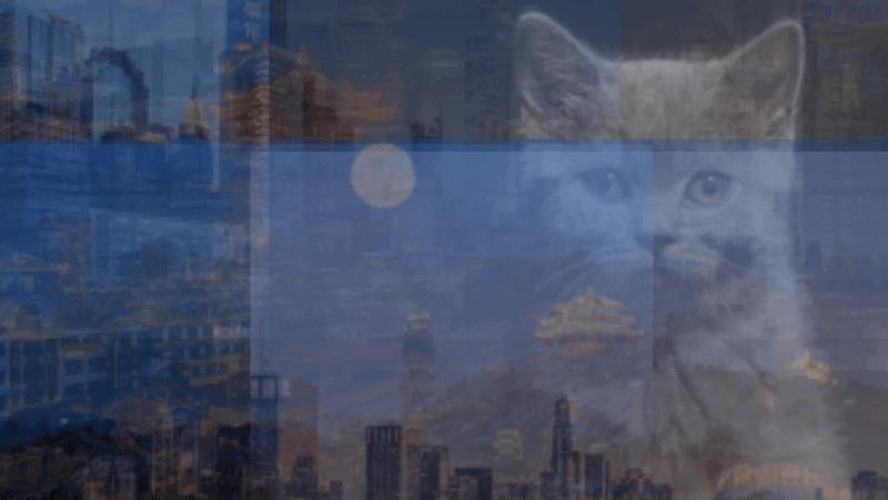 wpsppt多图排版布局,ppt10张多图排版技巧