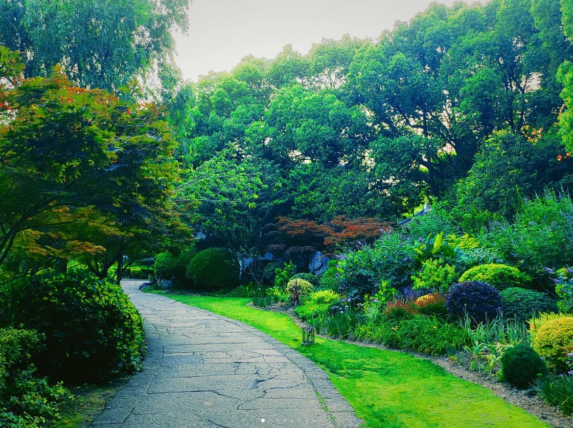 去完上海旅游后的感受,独自一人去上海旅游的感受
