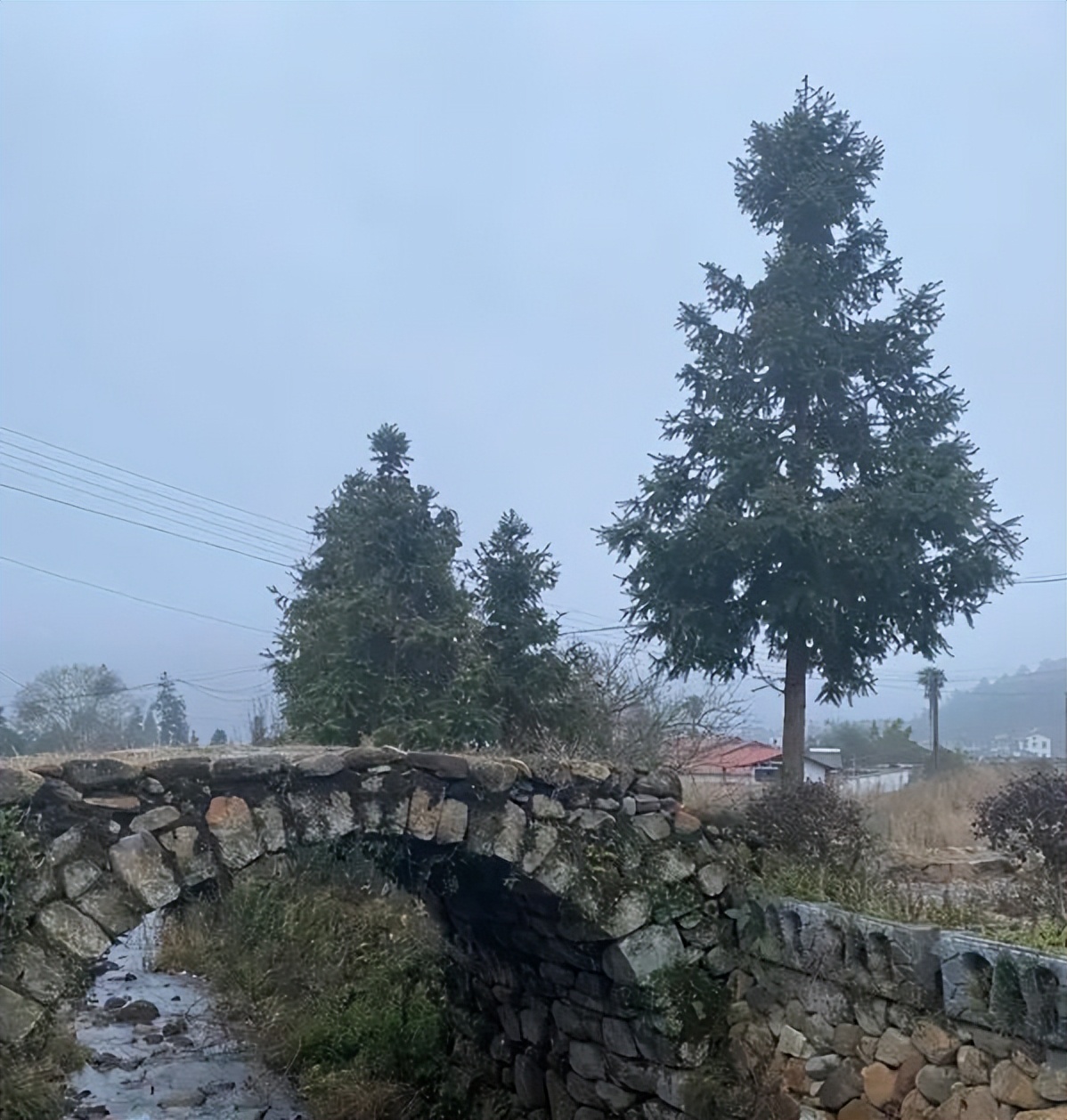 高高的紫云山,我们的青春故事曾在这里演绎