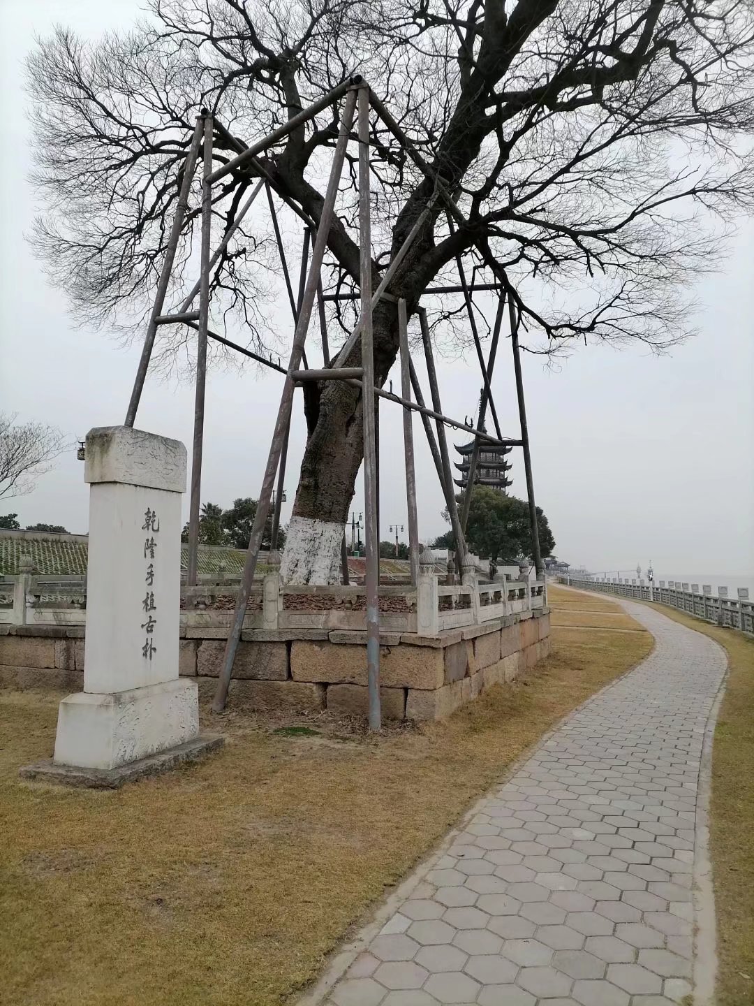 钱塘江潮汛故事,钱塘江神秘事件真实原因