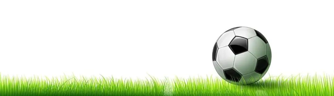 公司要像足球队,假如公司是健身房